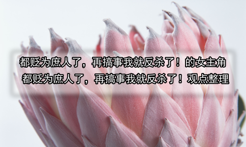 都贬为庶人了，再搞事我就反杀了！的女主角 都贬为庶人了，再搞事我就反杀了！观点整理